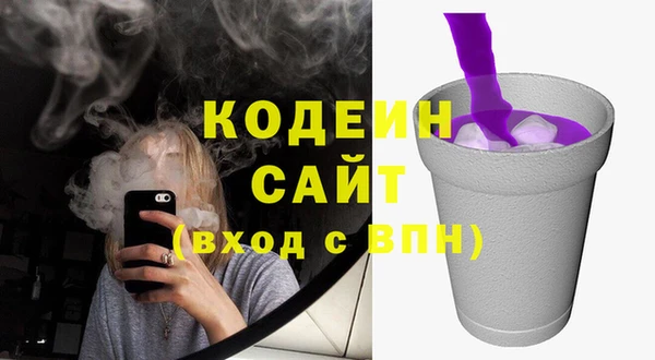 МДПВ Бородино