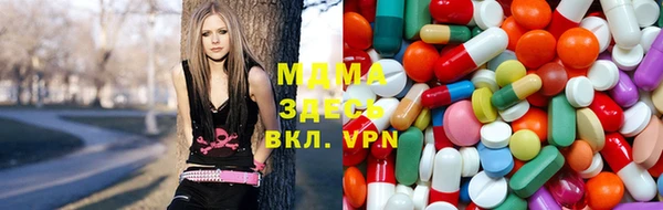 гидра Богородицк