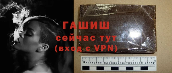 гидра Богородицк