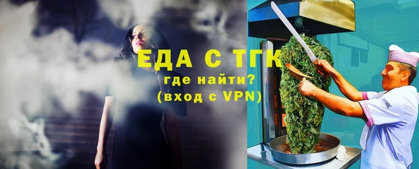 гидра Богородицк