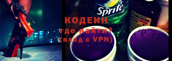 МДПВ Бородино