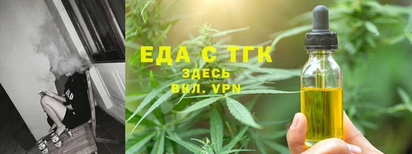 МДПВ Бородино