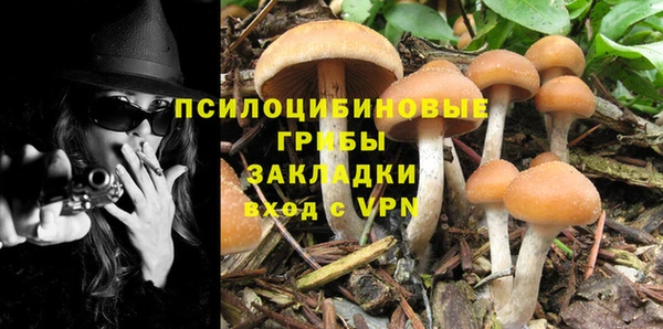 гидра Богородицк