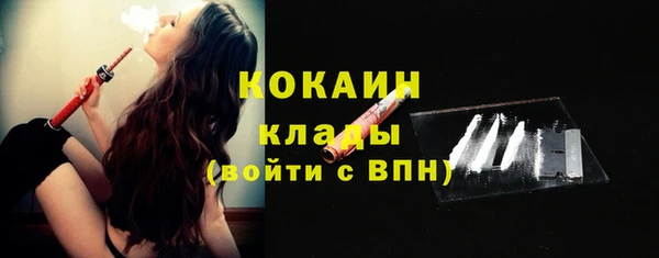 гидра Богородицк