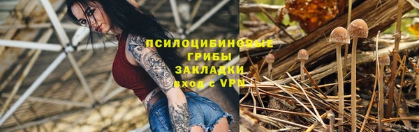 a pvp Богданович