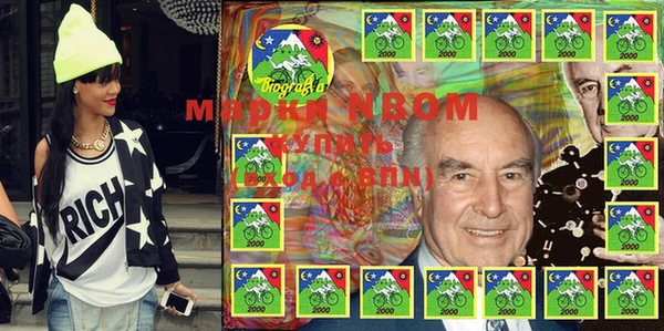 МДПВ Бородино
