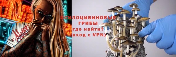 МДПВ Бородино